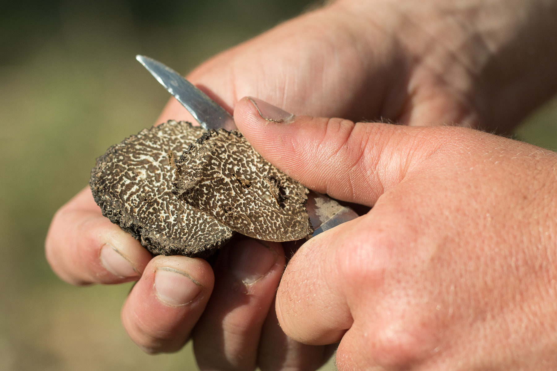 Homme en train de couper une truffe